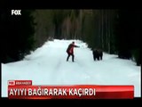 İsveçli adam üzerine atlayan ayıyı bağırarak kaçırıp kovaladı