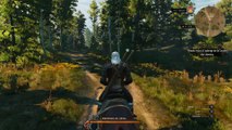 (thegamer) the wicther 3 wild hunt 1900 éme vidéo