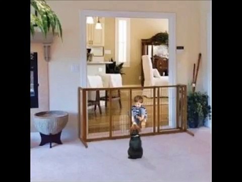 Dog Bite Prevention Week Tips