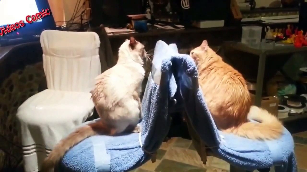 Подборка приколов WTF #04 what the fuck mother fucker