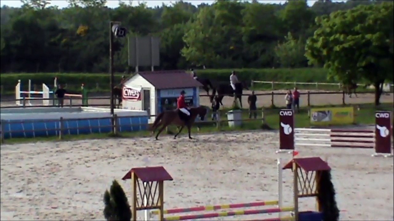 Aquarelle CSO Sandillon mai 2015