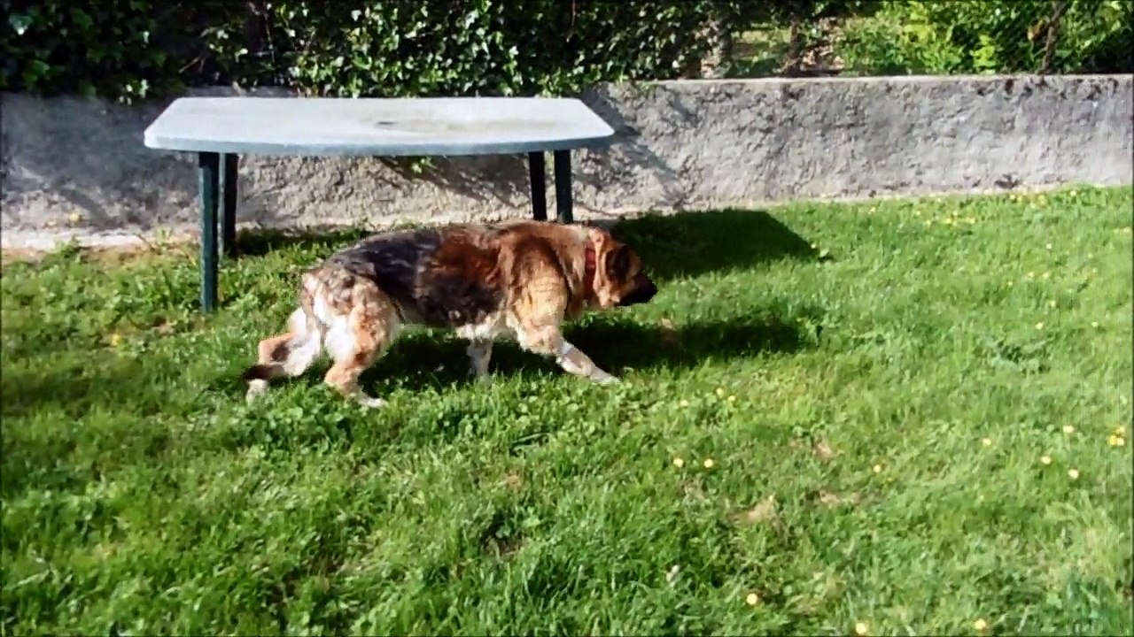 Les 1ères 24 heures de Belle dans sa nouvelle vie !