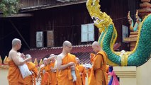 Japanese monks explore monkhood in Laos