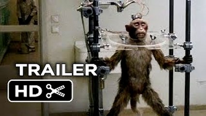 A Pigeon Sat on a Branch Reflecting on Existence Official US Release Trailer 1 (2015) - Movie HD