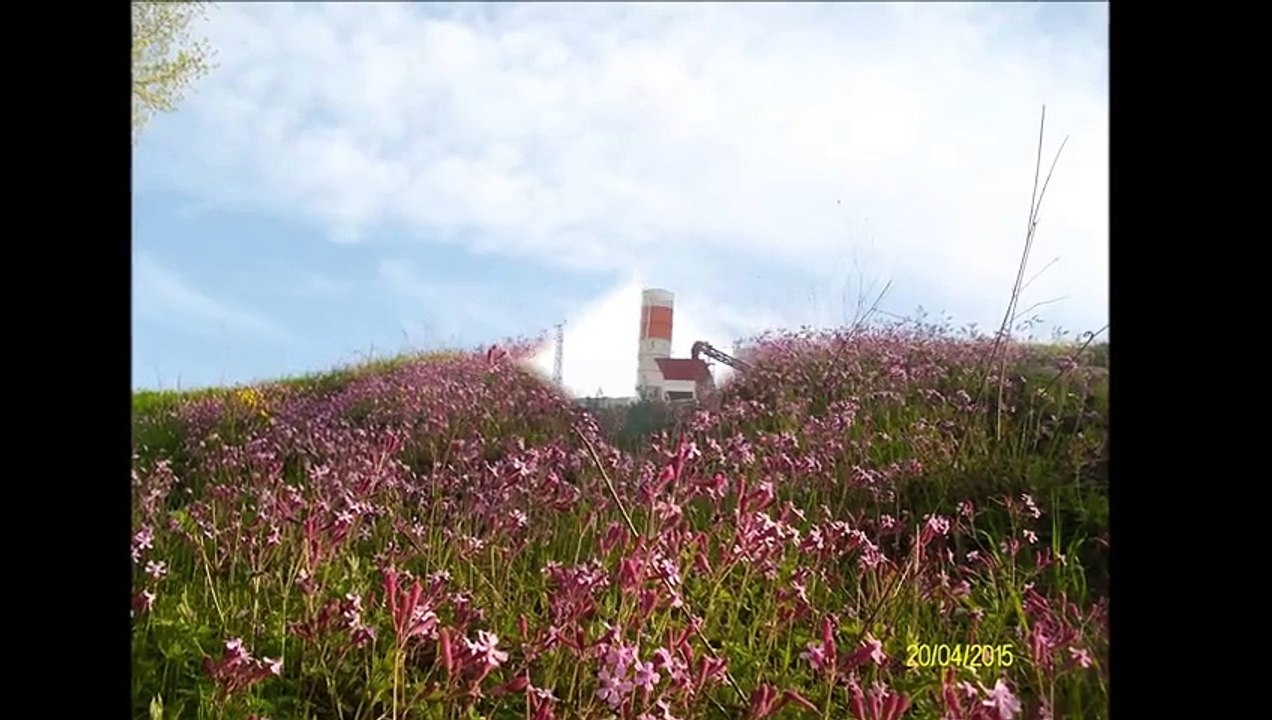 ALANLI KÖYÜ/ANDIRIN/K.MARAŞ