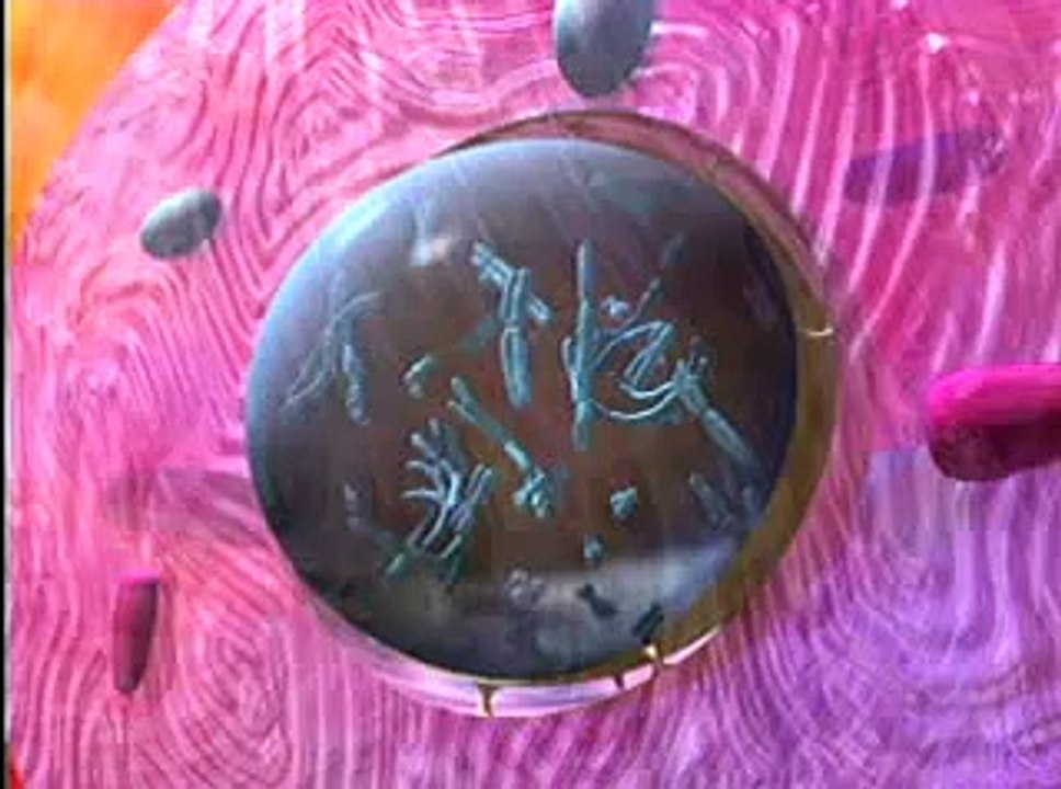 The Human Genome Project Video - 3D Animation Introduction