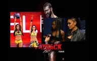 The Wrestling Show : WWE Payback 2015 : The Bellas Twins vs Tamina - Naomi : Pronostics