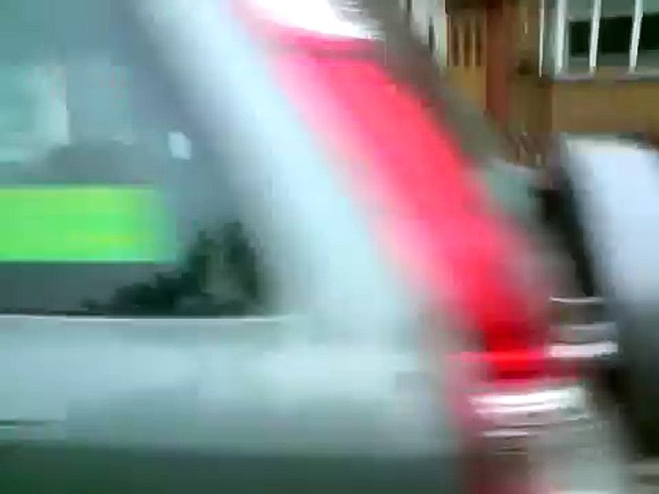 Rocky 3yr Old Boxer Dog... Going crazy as boxers do!!!