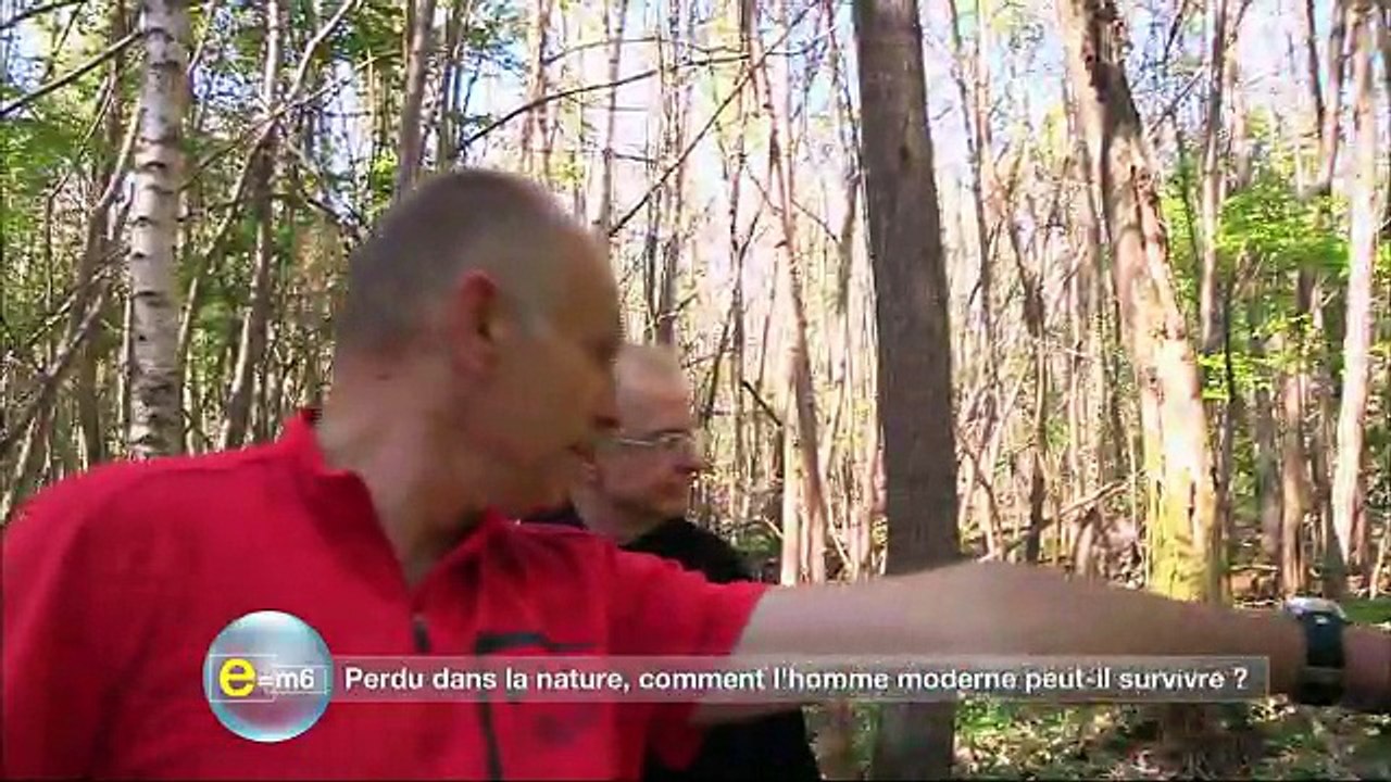 Comment survivre en milieu hostile