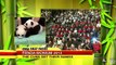 Twin Giant Panda Cubs At Atlanta Zoo Named Mei Lun And Mei Huan