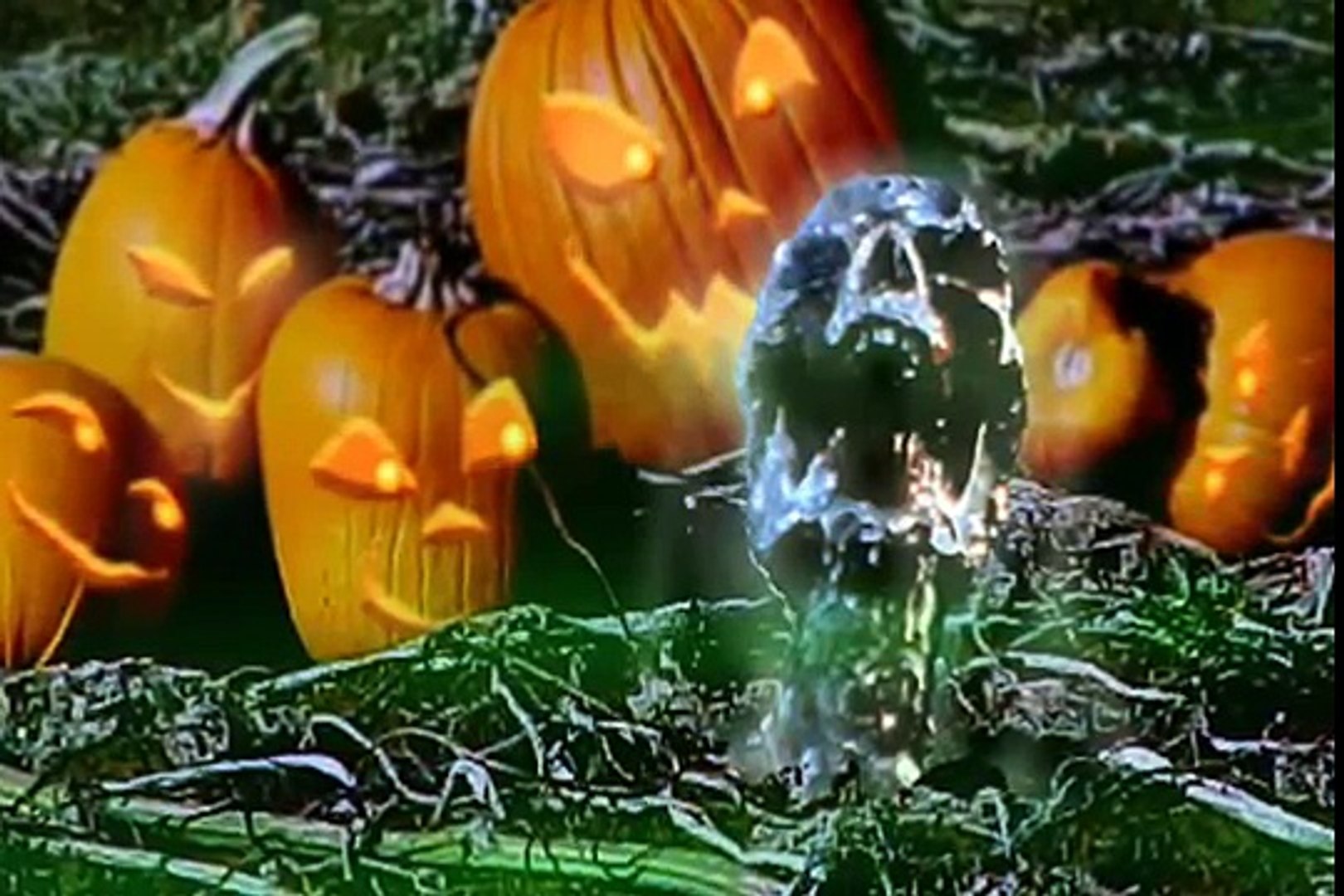 Crumpkin S Pumpkins Pumpkin Song Video Dailymotion crumpkin s pumpkins pumpkin song