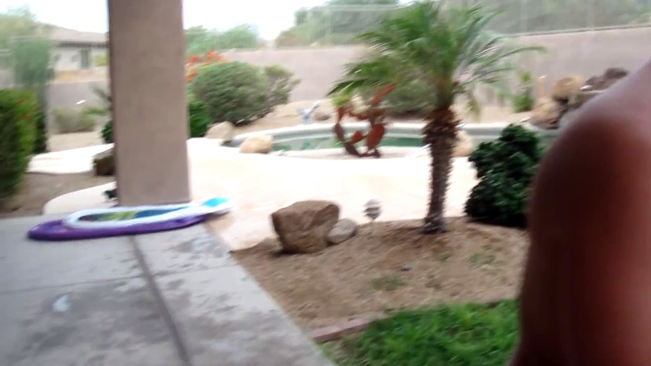 Funniest Bee Sting Ever!!!