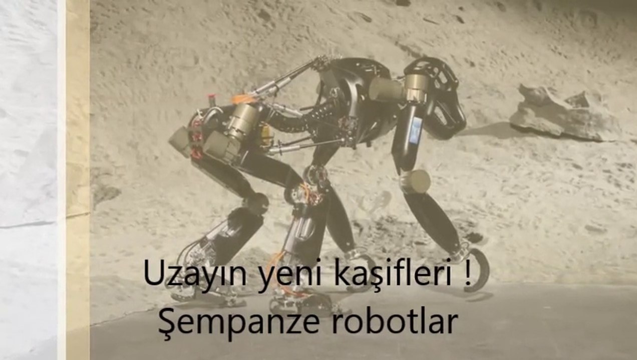 Uzayın yeni kaşifleri şempanze Robotlar