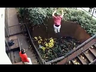 Bobby Being Bobby 🎬