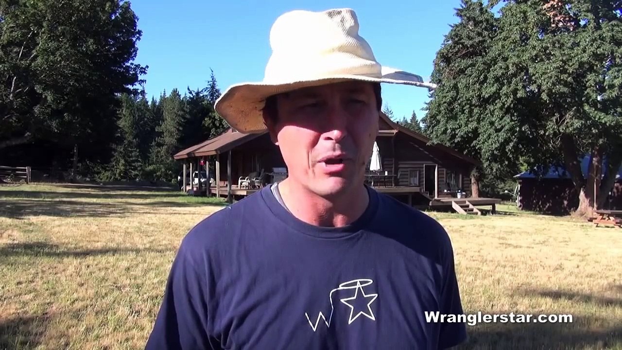 Coyote Attacks Dogs I Shoot With Glock 26