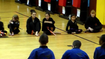 Karate Tournament 5.17.15 - 1st Place Purple Belt Kata!