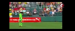 Funny Football Moments - Football Comedy Player and Animals