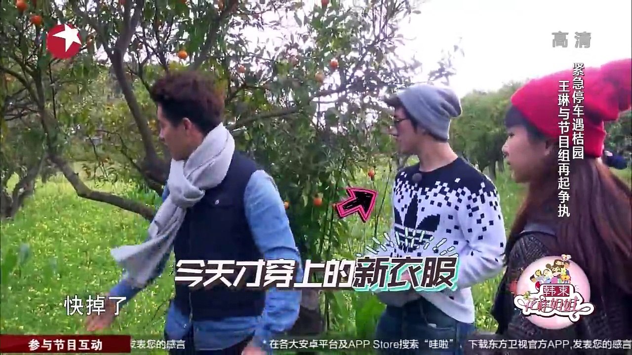 《花样姐姐》20150517：林志玲当街学习滑板鞋 王琳拉肚子尴尬找厕所