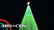 Giant Christmas trees lit up