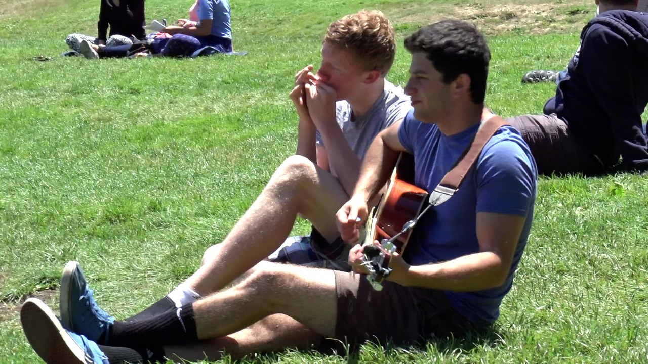Alamo Square, July 6, 2014