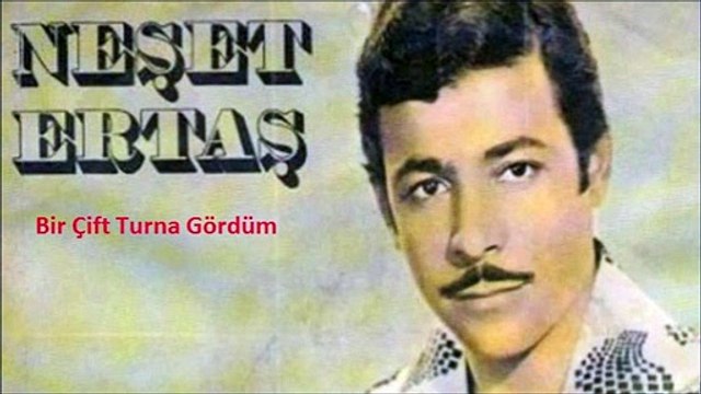 Yozgat Türküsü/Neşet Ertaş/Bir Çift Turna Gördüm