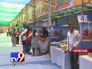 Fruit Lovers 'Kesar Mango Festival' begins in Ahmedabad - Tv9 Gujarati