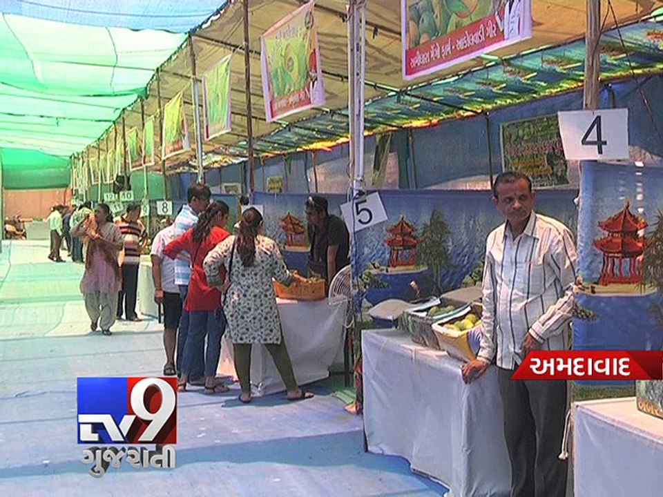 Fruit Lovers 'Kesar Mango Festival' begins in Ahmedabad - Tv9 Gujarati