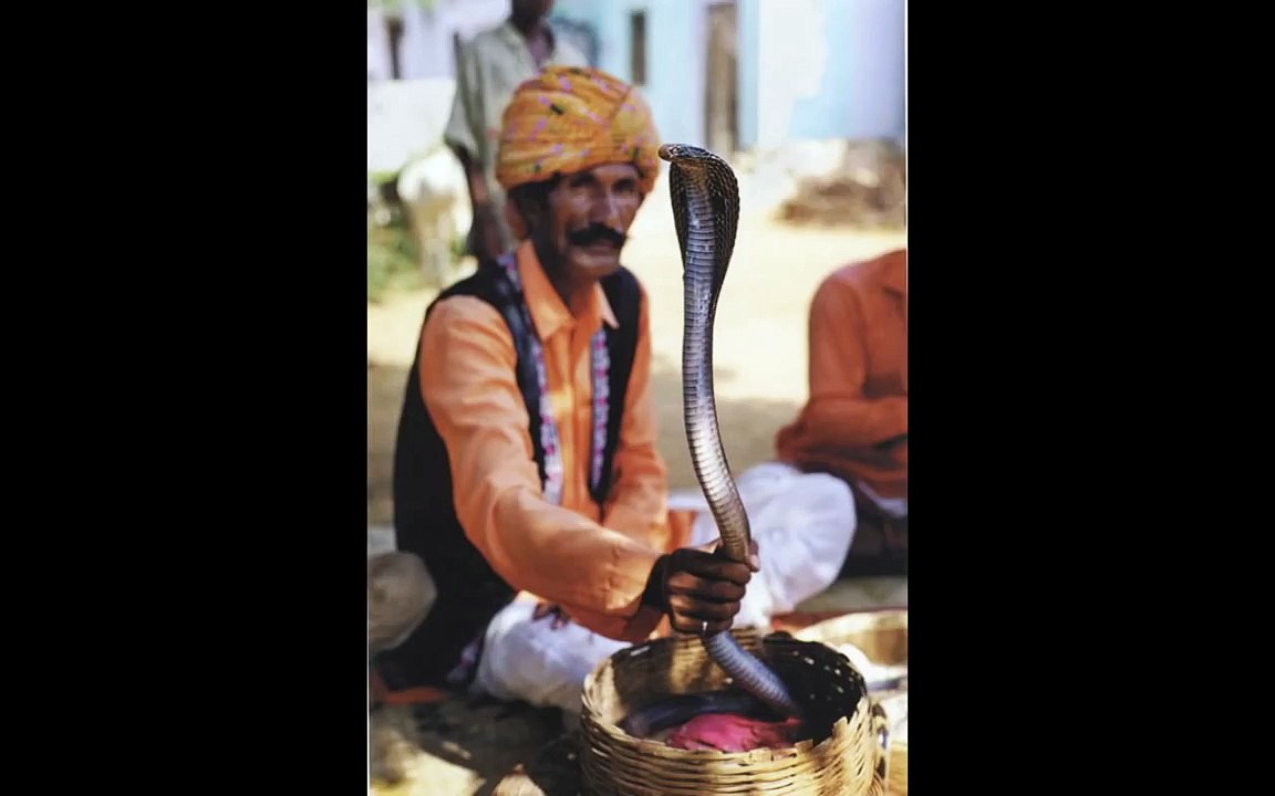TITI ROBIN & GULABI SAPERA: "NEEM"  (राजस्थान)