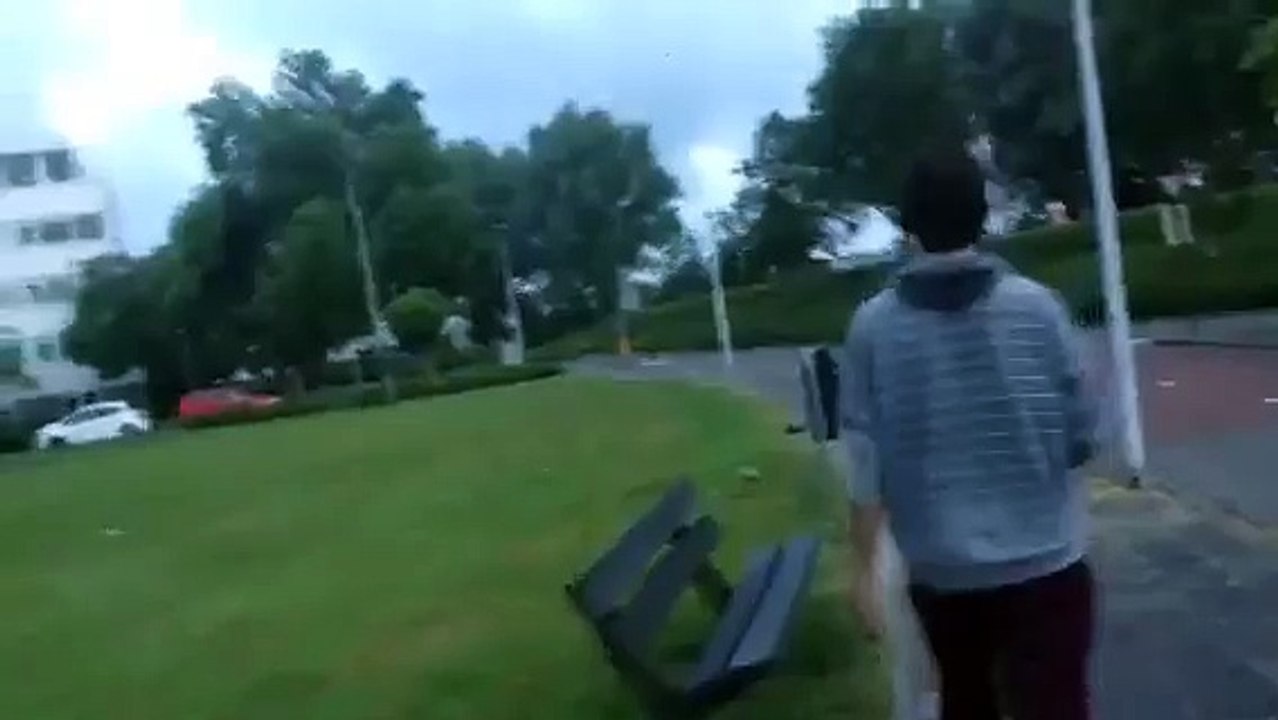 Seagull rescue