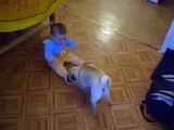 En Komik Video Bebek Gülüyor Köpek Onunla Isırmaca Oynuyor