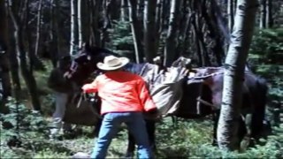 Kicked by a horse - Compilation