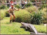 Re: A sad day for Australia..... A tribute to Steve Irwin