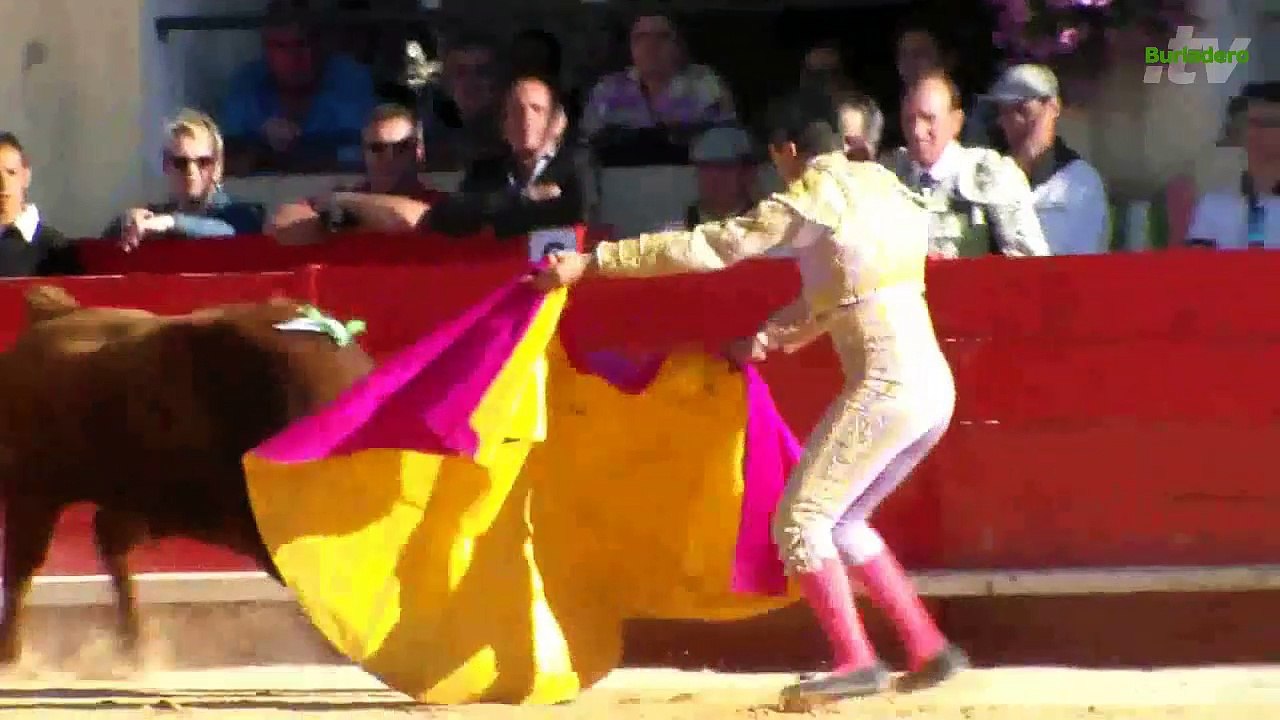 Alès 17 may 2015