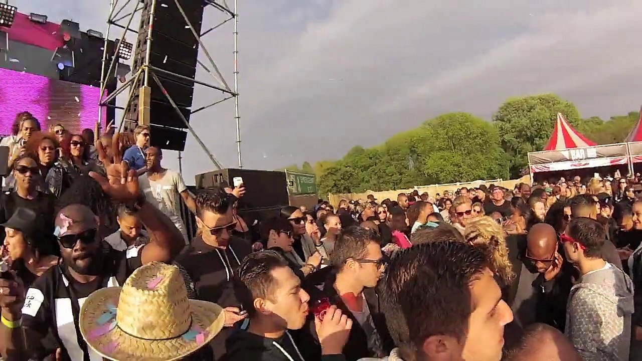 Toffler Festival