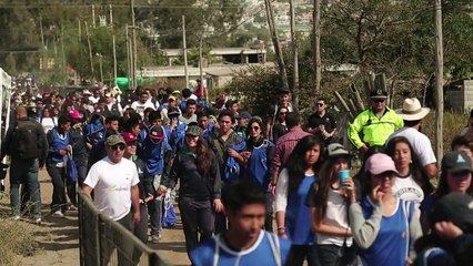 Ecuador stellt Rekord im Bäumepflanzen auf