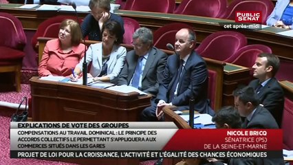En séance - Explication de vote sur le projet de Loi Macron