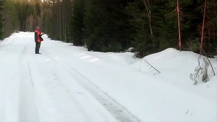 Un homme crie sur un ours qui le charge