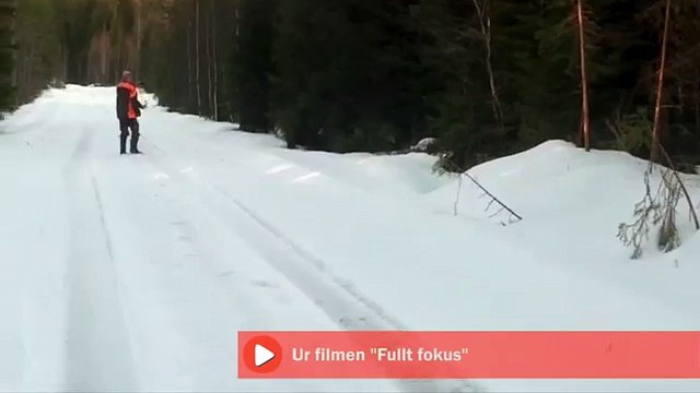 Un homme repousse un ours prêt à l'attaquer en hurlant