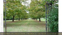 RAVENNA, COTIGNOLA   RUSTICO  VIA CAVATORTA MQ 390 EURO 365.000