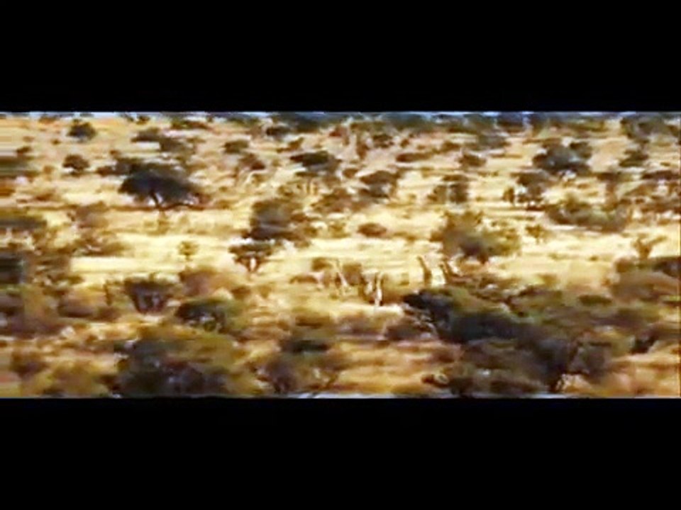 Planet Earth - Circle Of Life