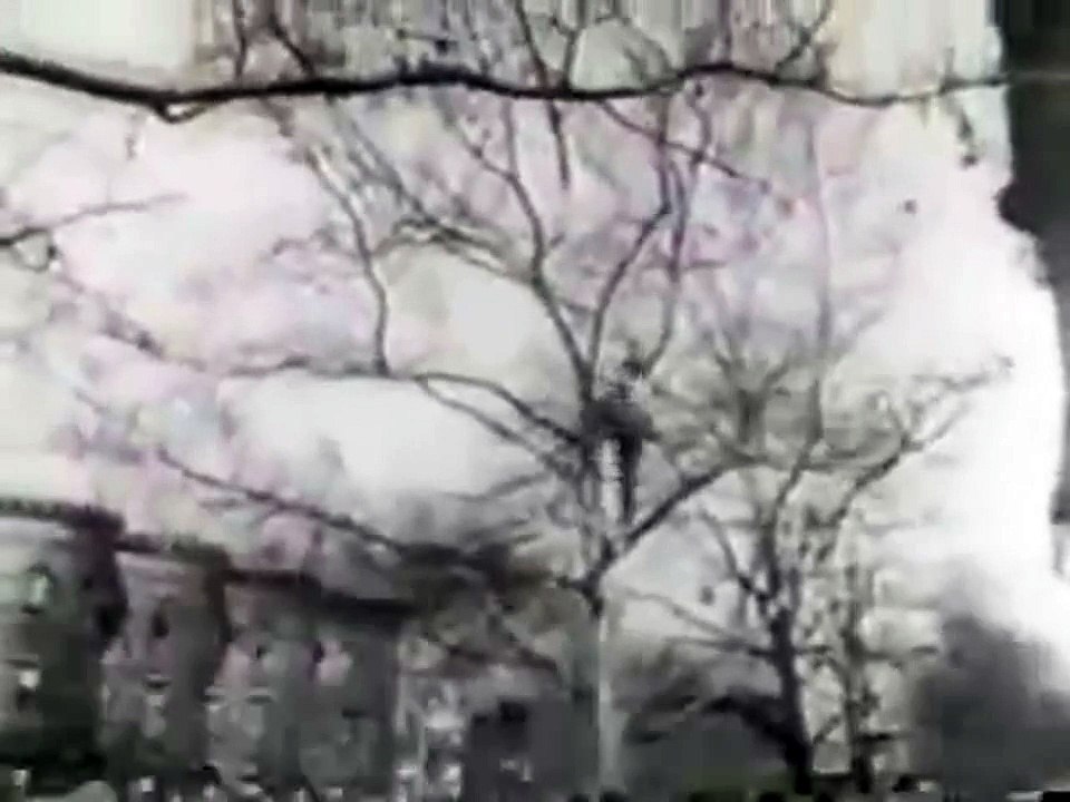 Parkour before it was cool (circa 1930)