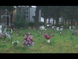 Aversa (CE) - Il cimitero in preda alle erbacce (17.05.15)