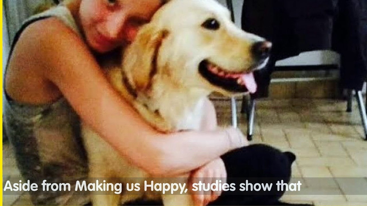 Fetcher, Your Trusted Pet Care Partner