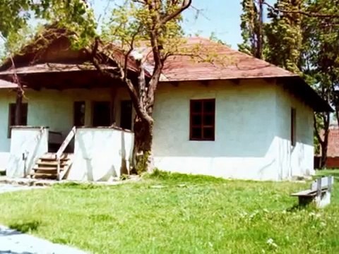 Muzica lui Mihai Eminescu , Mihai Eminescu music , Doina si Ion Aldea Teodorovici - EMINESCU