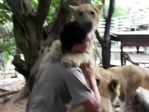 Lion hugs. My last day at the Lion Park =( Lots of love