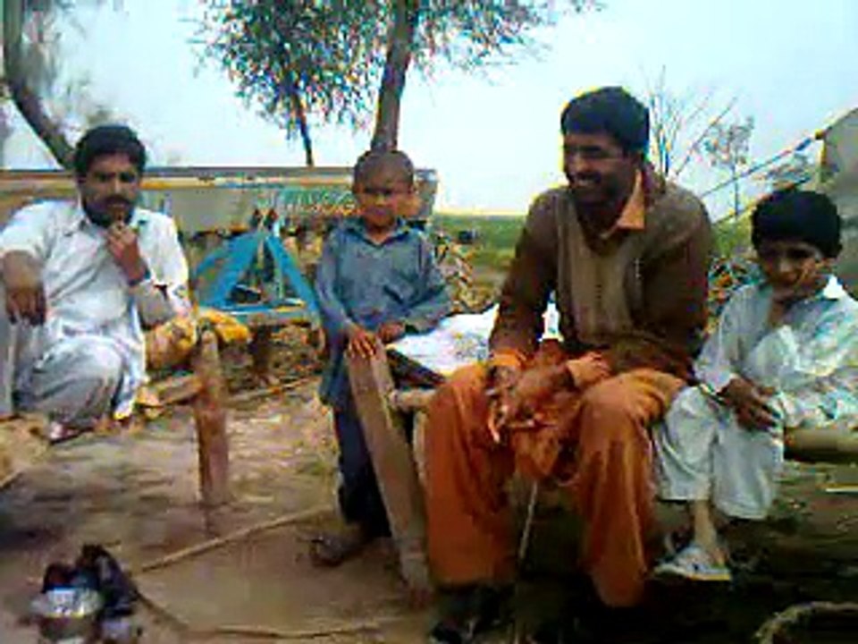 saraki gup shup  -saraki log-[Masha Allah mobile Taunsa 03336466861