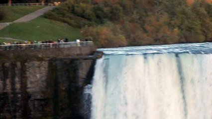 Niagara Falls 2 + Double-crested Cormorant