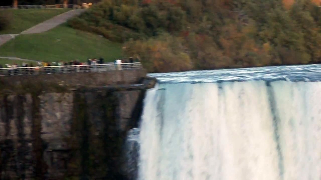 Niagara Falls 2 + Double-crested Cormorant