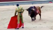 Breaking News!  Spanish Bullfighter Gored in Neck!  Warning this footage is gruesome