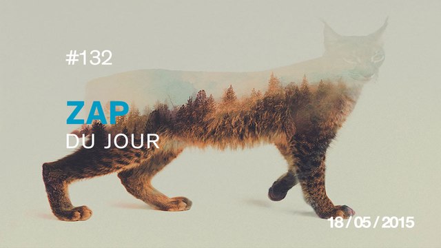 ZAP DU JOUR #132 : Panne de frein à 200 km/h / Cuire un steak à la lave / À l'intérieur d'une AK-74 / Le foot-ski /